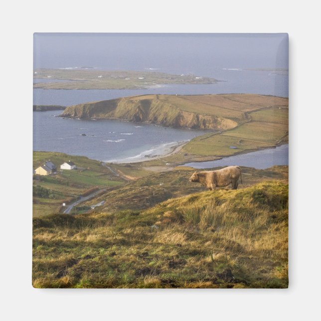 Imán Costa Pastoral Irlandesa (Frente)