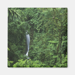 Imán Costa Rica, área del Volcán Arenal, puentes colg