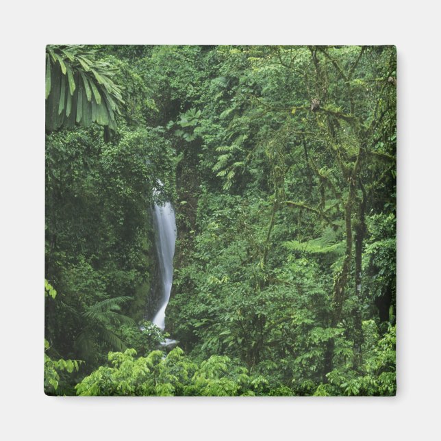 Imán Costa Rica, área del volcán Arenal, puentes colgan (Frente)