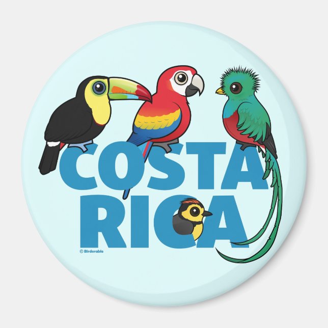 Imán Costa Rica Birdorable (Frente)