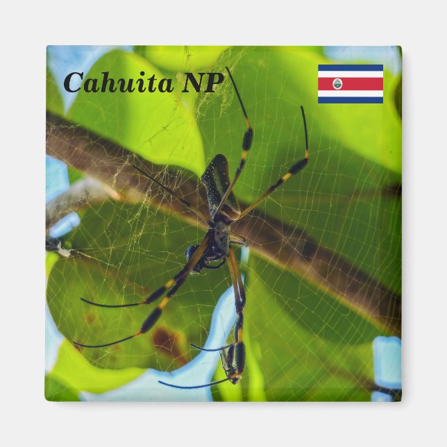 Imán Costa Rica, Cahuita NP - Araña Orb dorada (Frente)