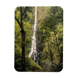 Imán Costa Rica, Isla del Coco, Cascada de Wafer Bay
