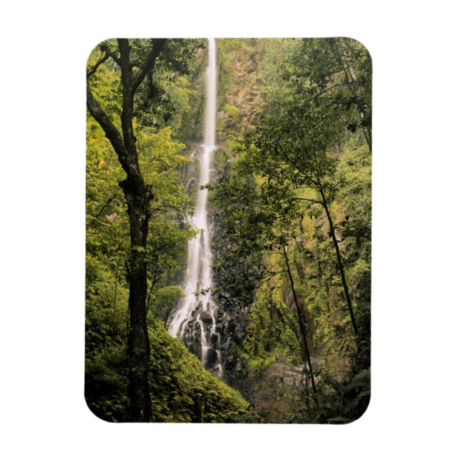 Imán Costa Rica, Isla del Coco, Cascada de Wafer Bay (Vertical)