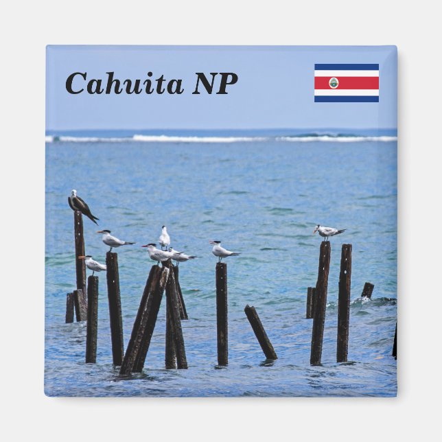 Imán Costa Rica, Parque Nacional Cahuita - Terrazas rea (Frente)