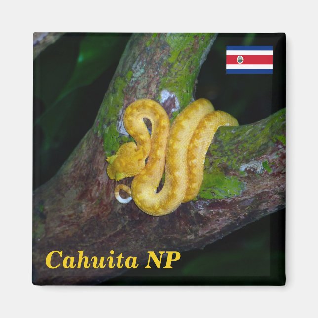 Imán Costa Rica, Parque Nacional Cahuita - Viper Eyelas (Frente)