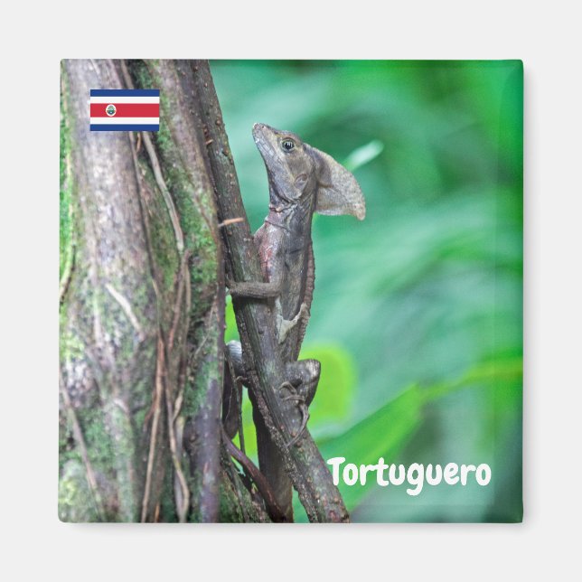 Imán Costa Rica, Tortuguero - Basilisk Lizard (Frente)