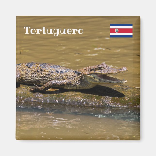 Imán Costa Rica, Tortuguero - Cocodrilo asfixiante (Frente)