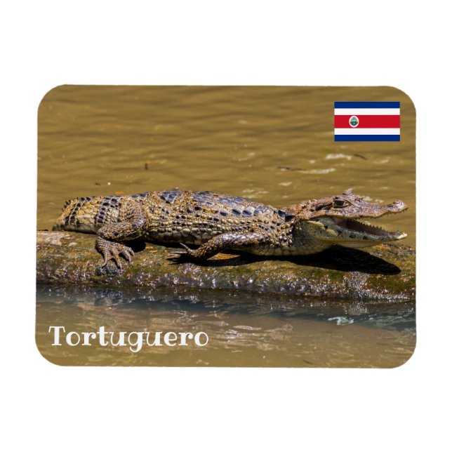 Imán Costa Rica, Tortuguero - Cocodrilo asfixiante (Horizontal)