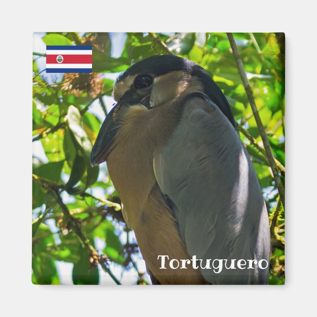 Imán Costa Rica, Tortuguero - Garza (Frente)