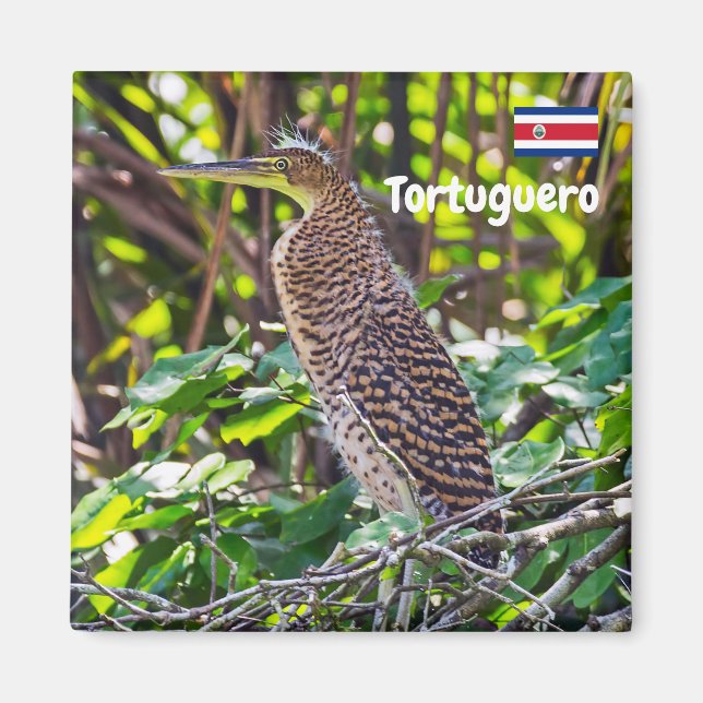 Imán Costa Rica, Tortuguero - Heron (Frente)