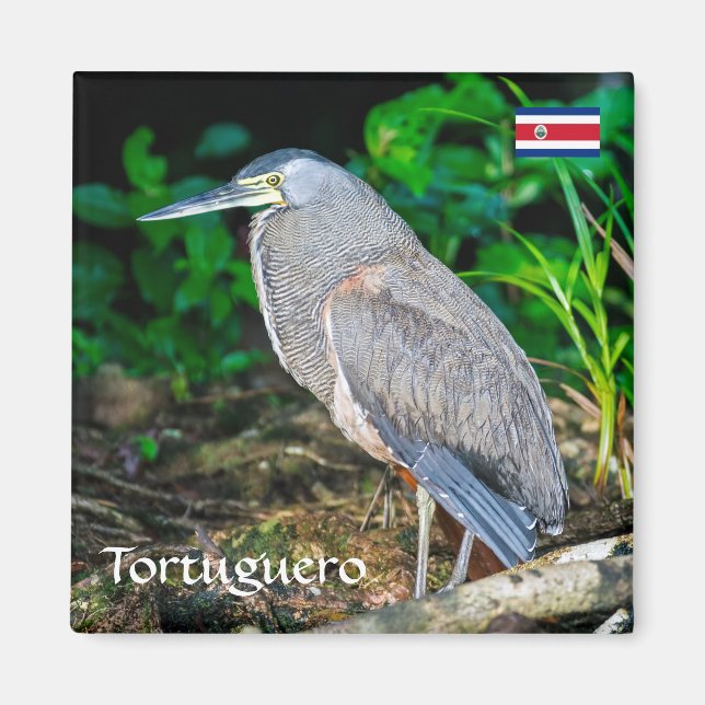 Imán Costa Rica, Tortuguero - Heron (Frente)
