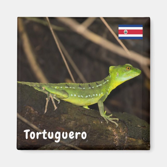 Imán Costa Rica, Tortuguero - Lizard de la Basílica Esm (Frente)