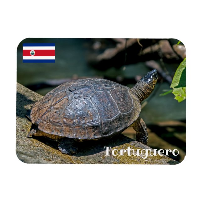 Imán Costa Rica, Tortuguero - Tortuga (Horizontal)