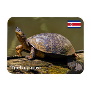 Imán Costa Rica, Tortuguero - Tortuga