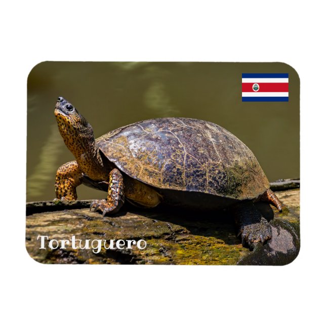 Imán Costa Rica, Tortuguero - Tortuga (Horizontal)