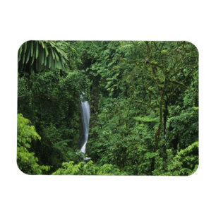 Imán Costa Rica, zona del volcán Arenal, puentes colgan