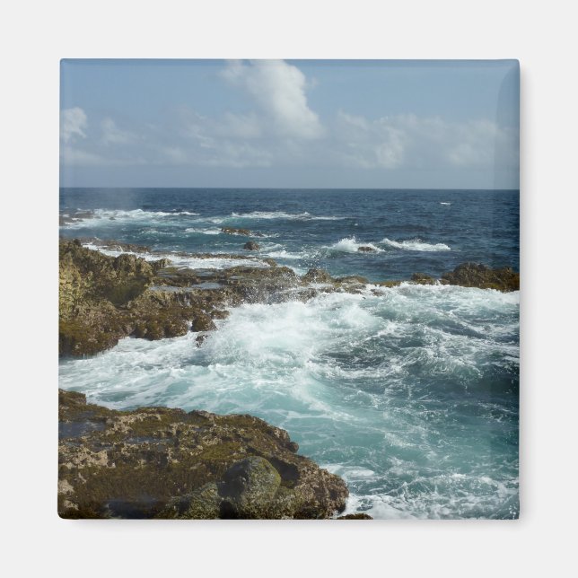 Imán Costa Rocosa y Océano Azul de Aruba (Frente)