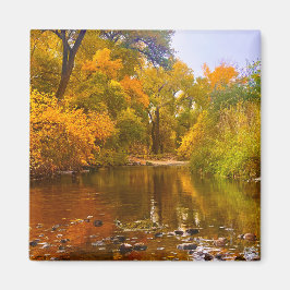Imán Costaño de Otoño