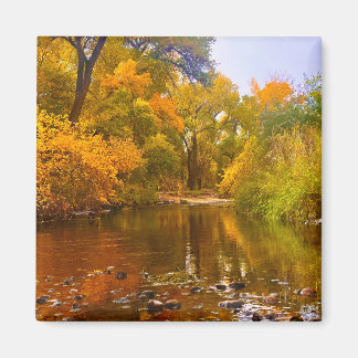 Imán Costaño de Otoño