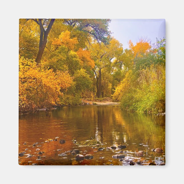 Imán Costaño de Otoño (Frente)