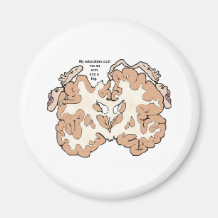 Imán Costó un brazo y un homúnculo de pierna