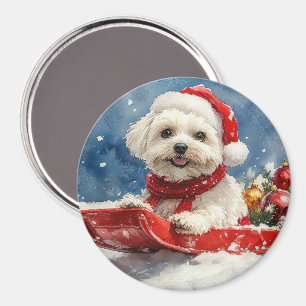 Imán Coton De Tulear en Trineo Deja que nieve Navidad