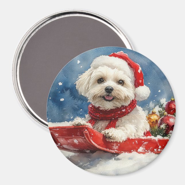 Imán Coton De Tulear en Trineo Deja que nieve Navidad (Anverso/Reverso)