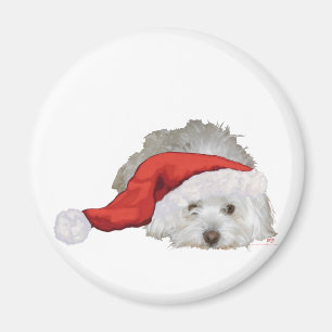 Imán Coton de Tulear - Esperando