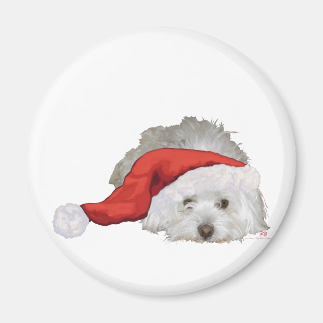 Imán Coton de Tulear - Esperando (Frente)