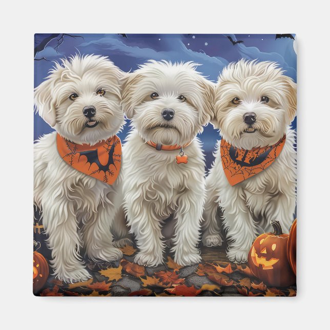 Imán Coton De Tulear Halloween Spooky (Frente)