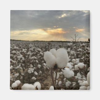 Imán Cotton Sunset