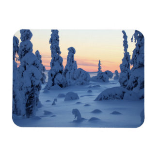 Imán Couché de soleil en Laponie