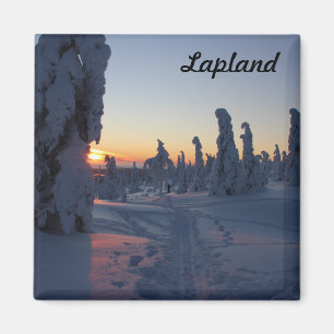 Imán Couché de soleil sur la forêt en Laponie