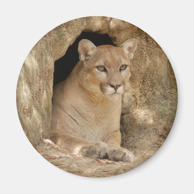 Imán Cougar 011 (Frente)