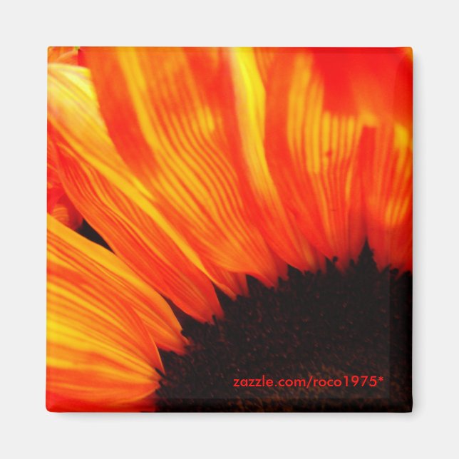 Imán couleur de feu (Frente)