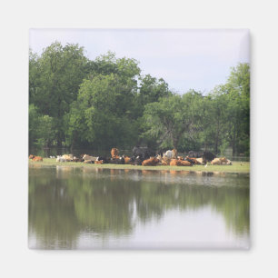 Imán Cow Magnet