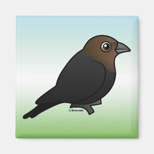 Imán Cowbird Brown-dirigido