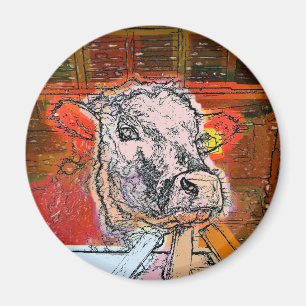 IMÁN COWS