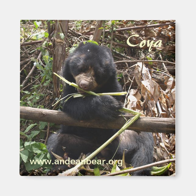 Imán Coya Magnet (Frente)