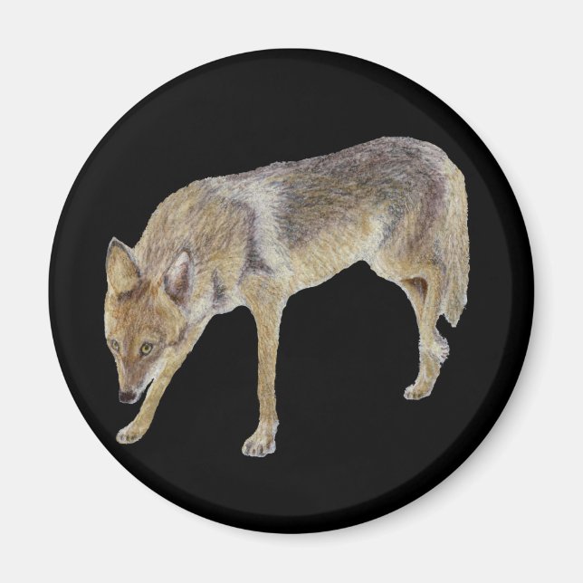 Imán Coyote (Frente)