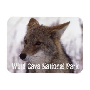 Imán Coyote Face, Parque Nacional de la Cueva del Vient