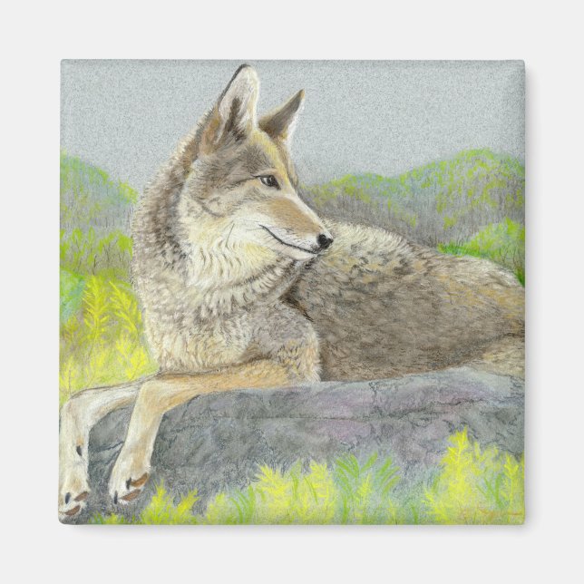 Imán Coyote Magnet (Frente)