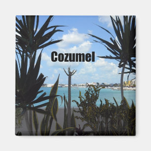 Imán Cozumel