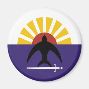 Imán Cozumel, bandera de Quintana Roo, México, México