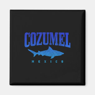 Imán Cozumel Beach Mexico Scuba Diver Sharm Vint
