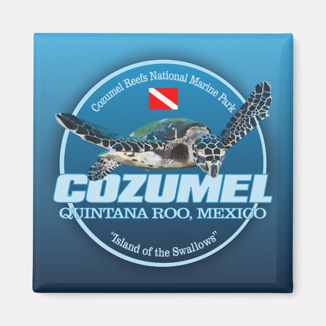 Imán Cozumel (DD2) (Frente)