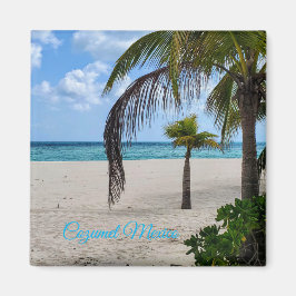 Imán Cozumel México