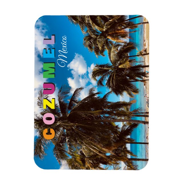 Imán Cozumel Mexico Magnet (Vertical)