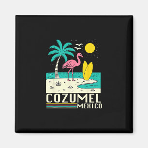 Imán Cozumel México Recuerdo de Vacaciones Viaje Hombre