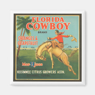 Imán Cr vintage de cítricos Kissimmee de Florida